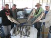 (03/11/2014) - Nice Striped Bass